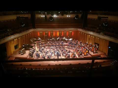 Big in Japan concert - Suikoden – Into a World of Illusions