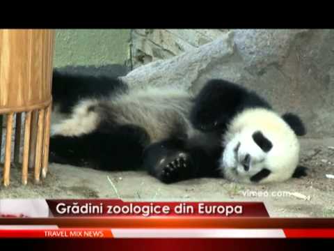 Gradini zoologice din Europa