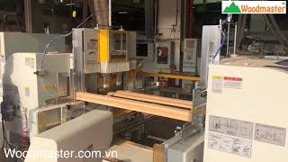 Máy đánh mộng 2 đầu 4 dao Woodmaster