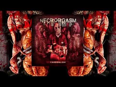 Necrorgasm - Double Rape Penetration (Lyric Video)