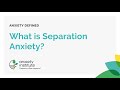 What is Separation Anxiety and how is it treated?