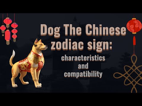 Dog 🐶 the chinese zodiac sign🌒🪧: characteristics and compatibility