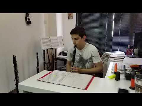 EGEHAN BİLGİN - İ LOVE YOU - SENİ SEVIYORUM - KLARNET PERFORMANSI YAKIN CEKIM