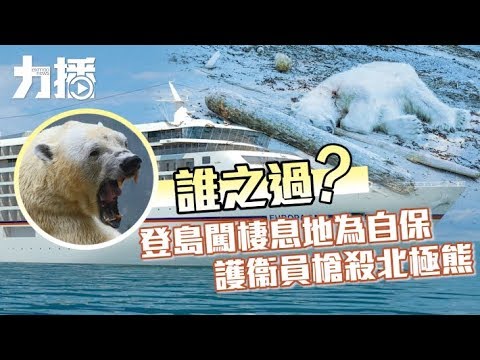 有片！挪威島北極熊襲擊保安員慘遭擊斃