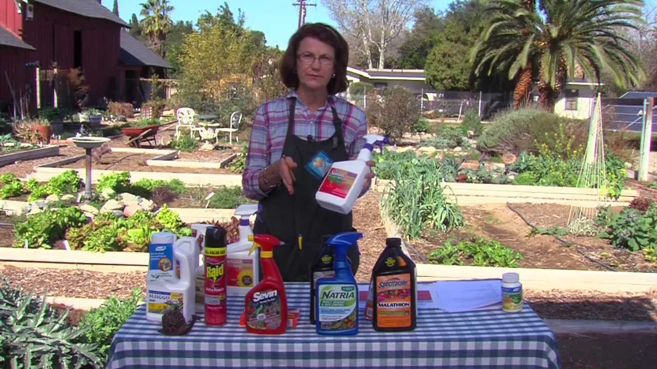 Gardening With Lucy - Lucy battles persnickety pests in her garden