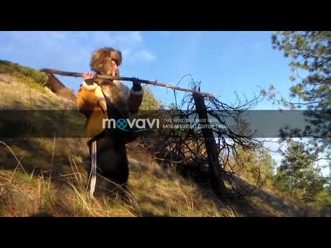 Mountain Men: Where Did They Come From Where Did They Go? Where Did They Come From Cotton Eye Joe?