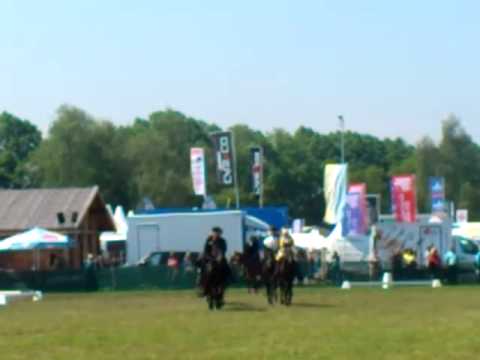 Pferd international 2015