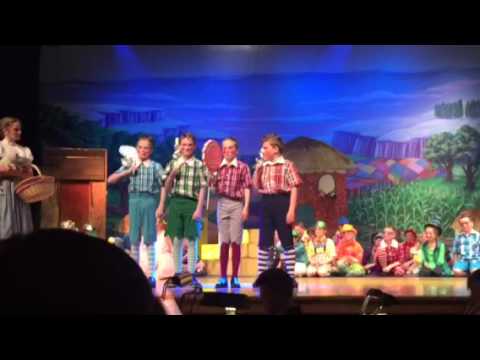 Wizard of Oz - Lollipop Guild 2016