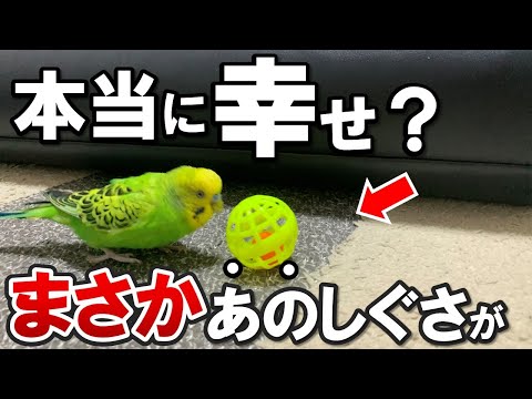IUCN分類における絶滅の危険性を示す図。