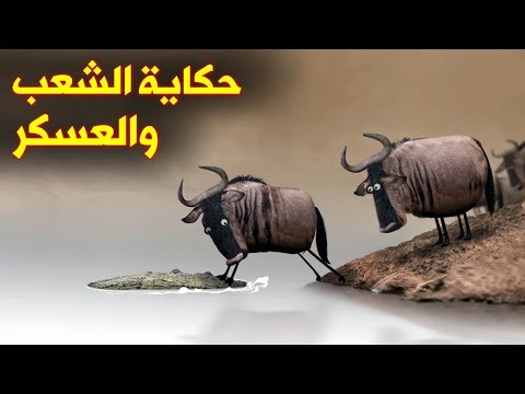حكاية الشعب الجزائري والعسكر، من 62 الى اليوم