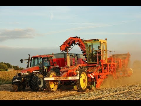 Loonw. Goemaere - Sint-Denijs - Goossens - Fendt 916 - New Holland M135