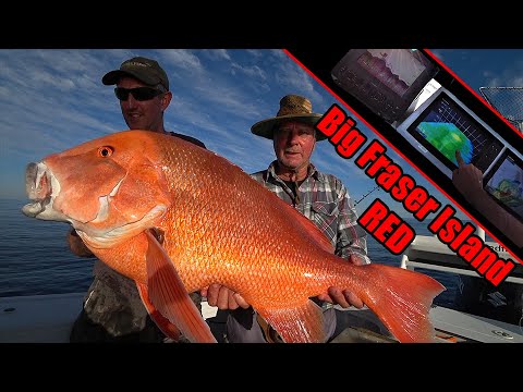 MONSTER RED EMPEROR I FRASER ISLAND I FURUNO ELECTRONICS - TZ3, PBG, DFF3D, FCV-295