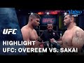 UFC: Overeem vs. Sakai highlight