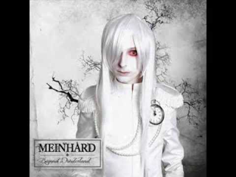 Mr.White Rabbit - Meinhard