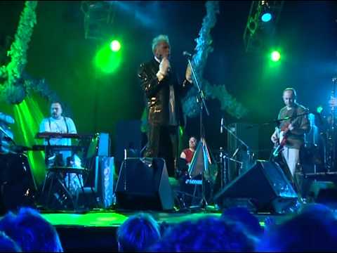 Auktyon, Medeski, Ribot - "Padal" Live in St.Petersburg