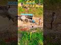 Powertack Tractor Tolley Driver Stuck In Mud Viral Video Reels