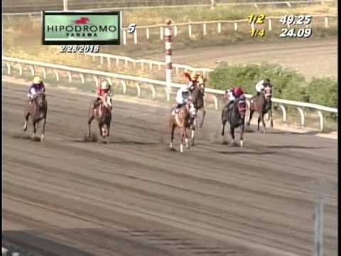 5TA CARRERA DEL DOMINGO 28 DE FEBRERO DE 2016 HPR