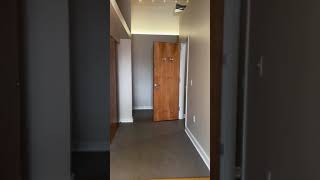 15Walnut 205