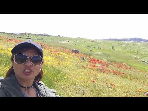 The beautiful landscapes of Turkey