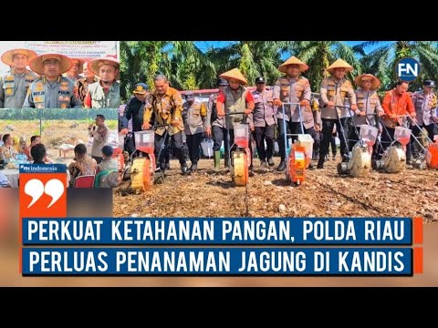 Perkuat Ketahanan Pangan, Polda Riau Perluas Penanaman Jagung di Kandis