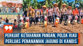 Perkuat Ketahanan Pangan, Polda Riau Perluas Penanaman Jagung di Kandis