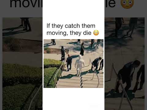they all had time to sit down and get comfortable. #explore #series #funny #jokes #movie #viral