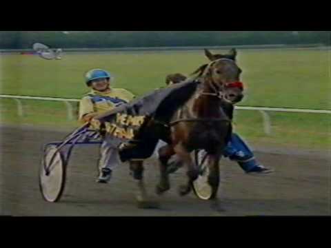 BRAVE REG 1:17,8 " Memorijal Dr. Stevan Petrović" 1600m - Ada 1997