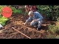 Burke S Backyard How To Grow Asian Greens Fast Growing