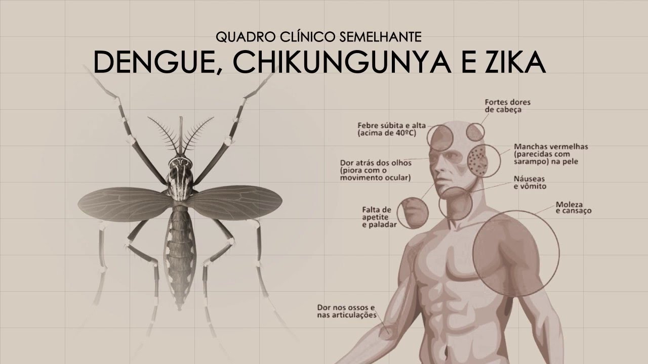 Diferença entre Dengue, Chikungunya e Zika