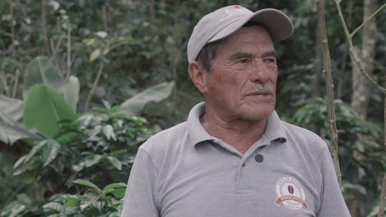 PROMESA CC 11