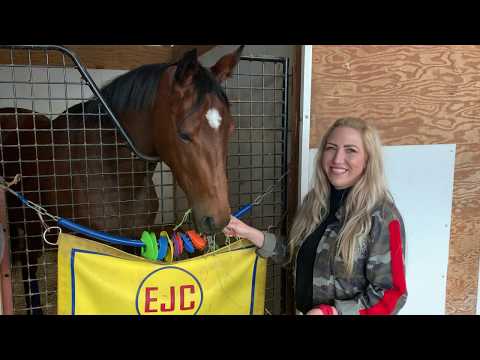 Dixie Serenade, Champion 3yo Filly