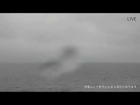 Kikai Townscape live cam