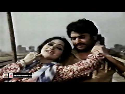 TERI MERI DOSTI PAAKI - NOOR JEHAN SINGS FOR RANI - PAKISTANI  FILM DO HATHKARIYAN