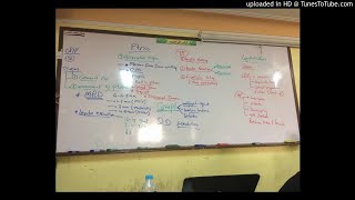 5) Dr. wael salah anatomy of the conjunctiva