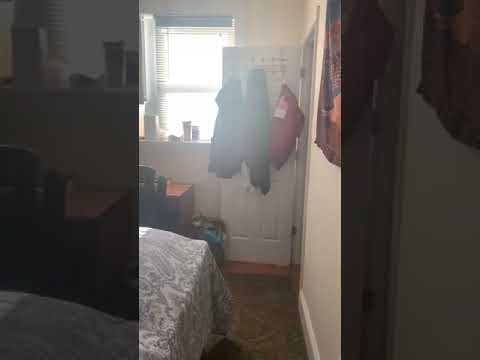 58 Egmont property video