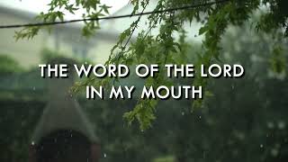 I Prophesy  - Planetshakers lyrics video