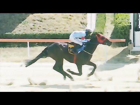 9/6-토-손석범-20.1배)+22.9배[가야할마필]선행쏜다/분명한이유/다적중+중배당까지..!!