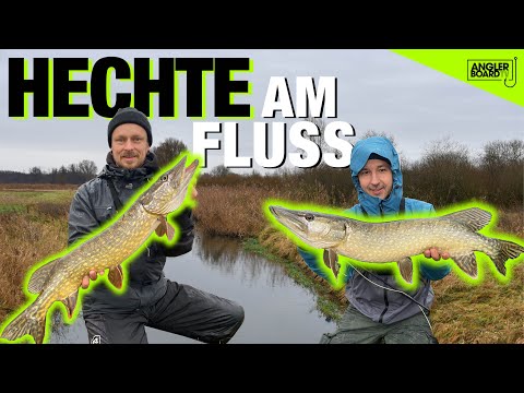 Hechtangeln im Winter am kleinen Fluss | Jerk oder Fliege | Stahlvorfach bauen| ANGLERBOARD TV