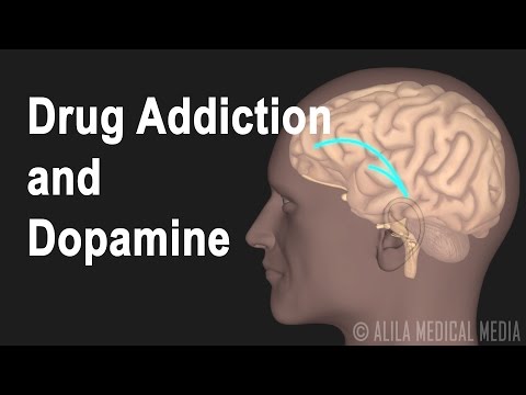 Le mécanisme de la dépendance à la drogue.