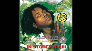 Camoflauge - Down by The River