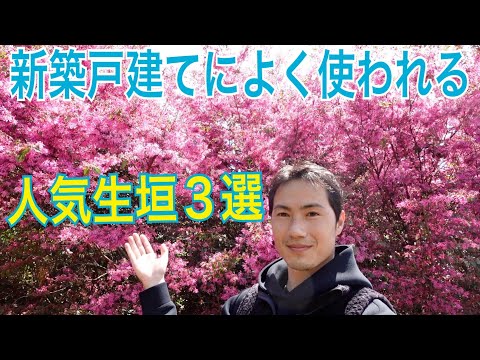 プライバシー保護: 最高の生垣植物 12 選 トピックス