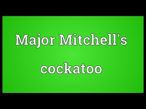 Major Mitchell's cockatoo Meaning