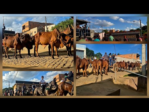Muita Gente e Cavalo Bonito: Cavalgada no Matoso (Paripiranga - Bahia) tradição do #nordeste 