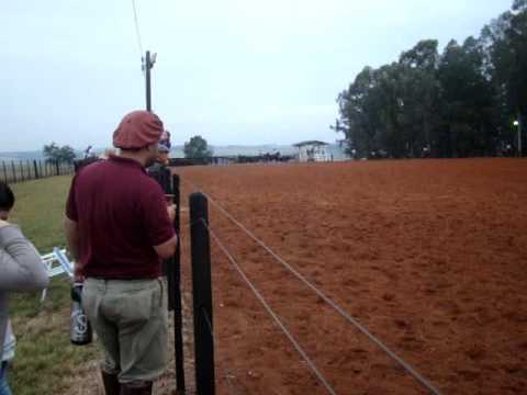 Paleteada Hortência do Ribeirão Bonito