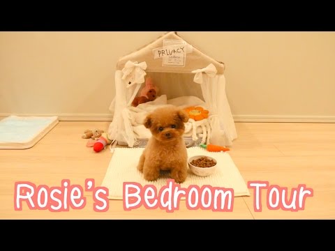 ロージーの寝室ツアー (Rosie's Bedroom Tour)