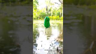 Download lagu fishing on a neighbor's side, unexpected results😱🥶 #fishing mp3 Download lagu fishing on a neighbor's side, unexpected results😱🥶 #fishing mp3