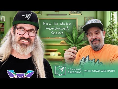 How to Make Feminized Seeds w/Chad Westport & Mr. Toad | Learn with AC Infinity Ep. 4