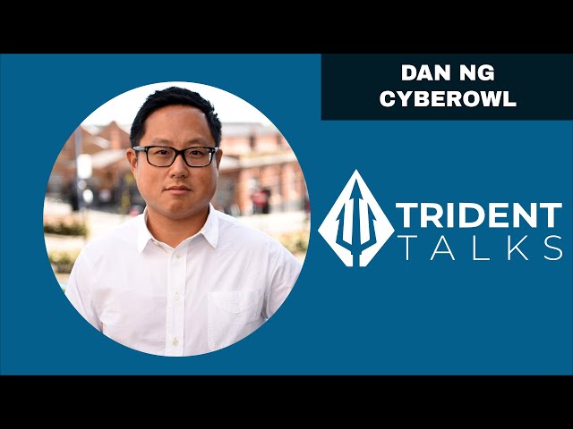 CyberOwl product / service