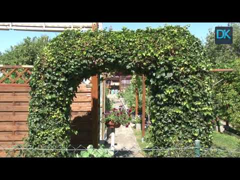 100 Jahre Gartenanlage Stauffenbergstraße in Ingolstadt