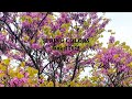 spring colors